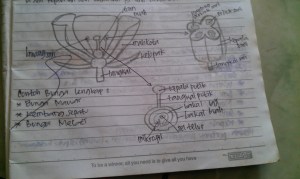 Bunga lengkap dan bagiannya
